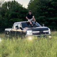 logan_lmm