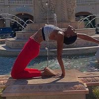 shei_twistedcoach