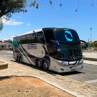 golfinho.turismo