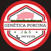 gentica.porcina.js
