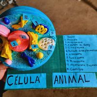 manitascreativas_23