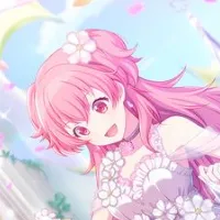 what is the 808 saying