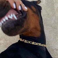 _dobermanns_
