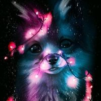 liza_wildcraft