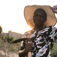 limpador_de_terrenos