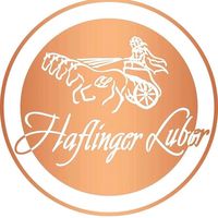haflinger.luber