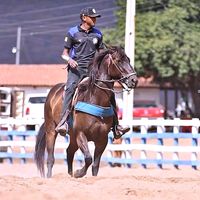 jackson.taylon_costa