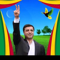 orijinal ses
