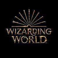 wizardingworldaesthetic
