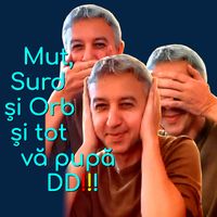 sunet original