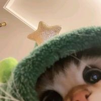 sthefanyzp4