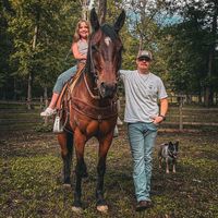 mcmahan_cove_gelbvieh