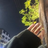 kittylvu