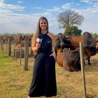 reporterdoagro