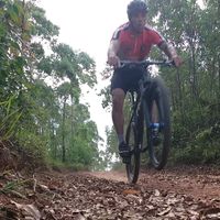 edi.mtb