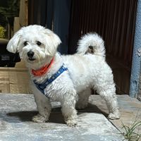 666666666666666qqqqa