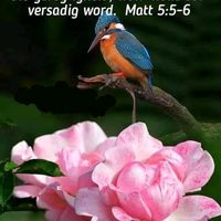 jesus_warrior1