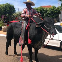 brunoaugustosouzasilvei0