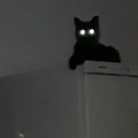 original sound - musikmaniaaa