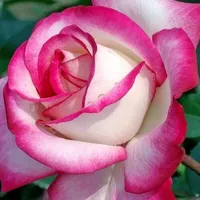 original sound - fatoumiaallaoui