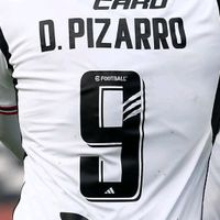 damian.pizarro.9