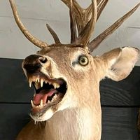 floppyfloppyfloppyflopp0