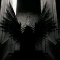 lllrose_musiclll