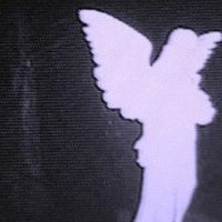 slyvenclaw0