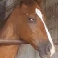 hobie_toesforbreakfast