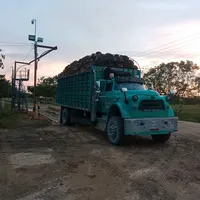 original sound - danni.elgeneral336