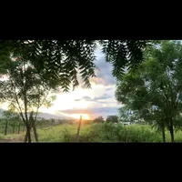 original sound - 21_lsg