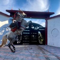 riyeed_13