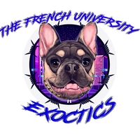frenchuniversityexoctics