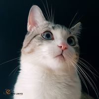 evaperezpena