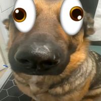 original sound - ⠀ ⠀ ⠀ ⠀ ⠀ ⠀Haz