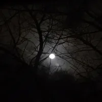 You have small pp energy if u use this sound