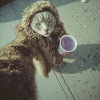 original sound