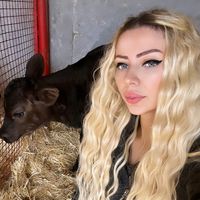 aselceyhansutciftligi