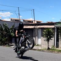 fabian22081