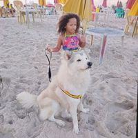 minijaquellyne