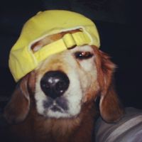 luis mendoza miami florida