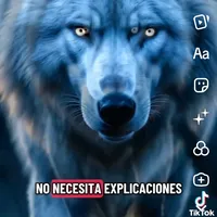 original sound - userj3y091d77f