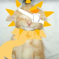 suni_the_emoji_x3