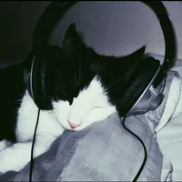 original sound - nalalyrics