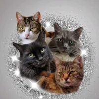 original sound - 4floofs1purrfectlife