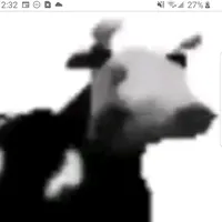 original sound - officalpolishcow