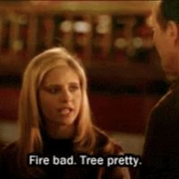 out.for.a.walk.bitca