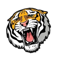 original sound - juninhomusicof