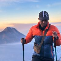 suara asli - Tim Horee