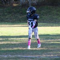 ice_monkey_legendings